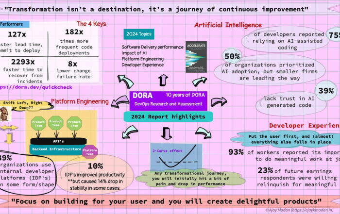 DORA Report 2024 Visual Infographic summary